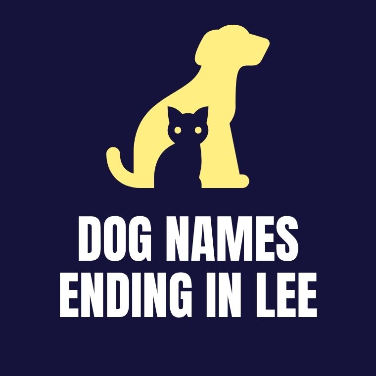 Dog Names Ending In Lee