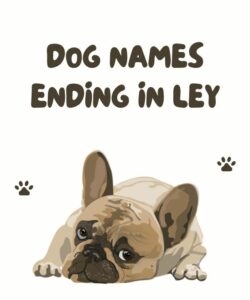 Dog Names Ending In Ley