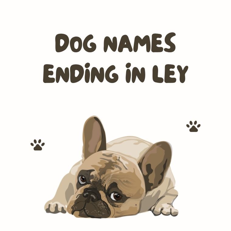 Dog Names Ending In Ley