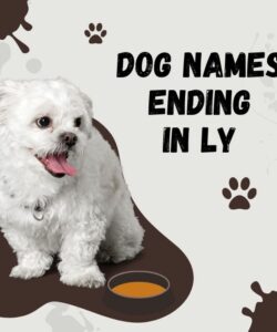 Dog Names Ending In Ly