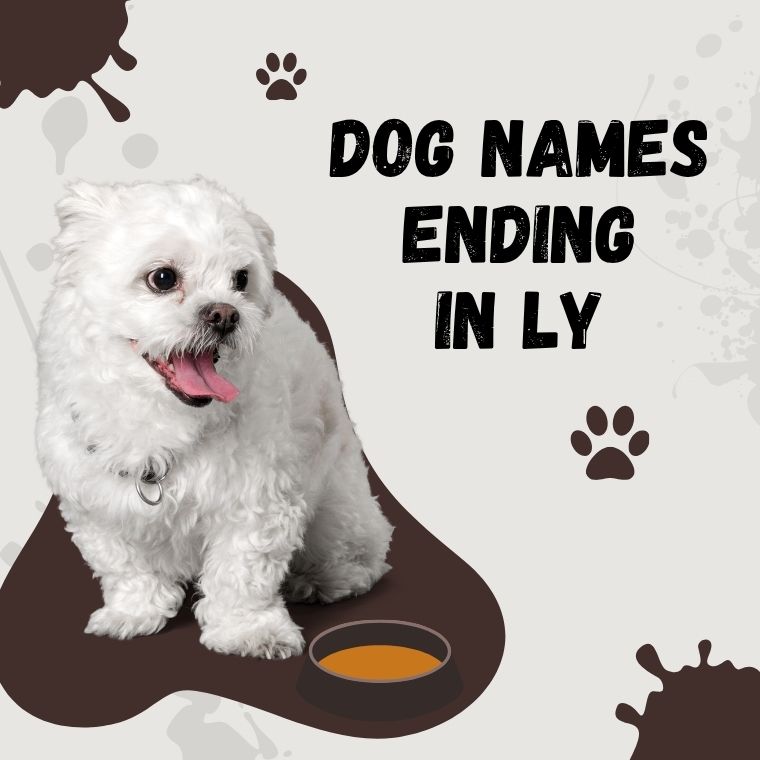 Dog Names Ending In Ly