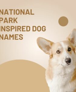 National Park Inspired Dog Names