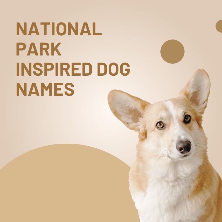 National Park Inspired Dog Names