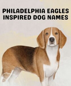 Philadelphia Eagles Inspired Dog Names Philadelphia Eagles Inspired Dog Names