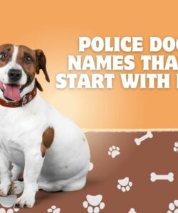 Police Dog Names That Start With P