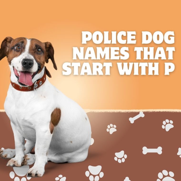 Police Dog Names That Start With P