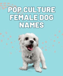 Pop Culture Female Dog Names