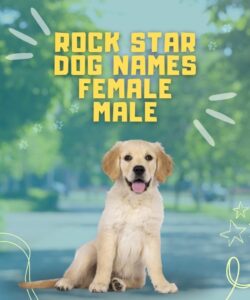 Rock Star Dog Names Female Male