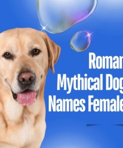 Roman Mythical Dog Names Female