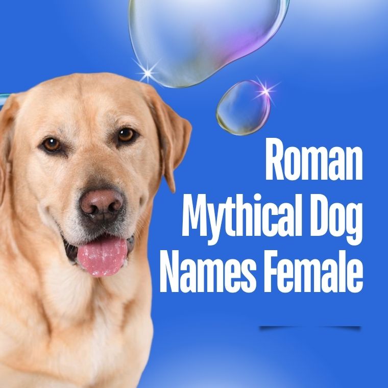Roman Mythical Dog Names Female Roman Mythical Dog Names Female
