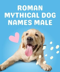 Roman Mythical Dog Names Male