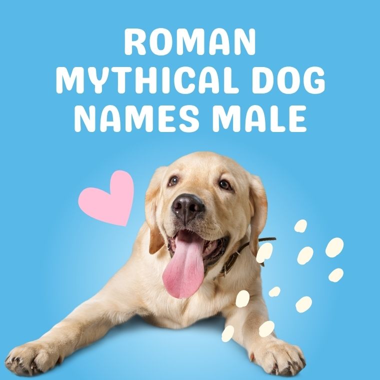 Roman Mythical Dog Names Male