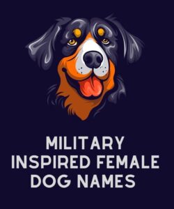 Military Inspired Female Dog Names Military Inspired Female Dog Names