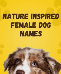 Nature Inspired Female Dog Names