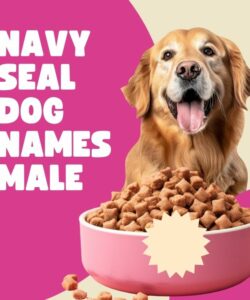 Navy Seal Dog Names Male