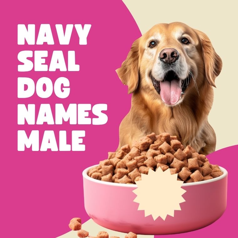 Navy Seal Dog Names Male