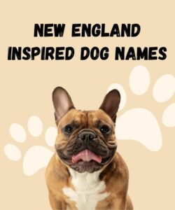 New England Inspired Dog Names New England Inspired Dog Names