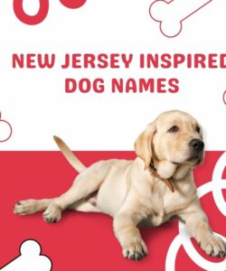 New Jersey Inspired Dog Names
