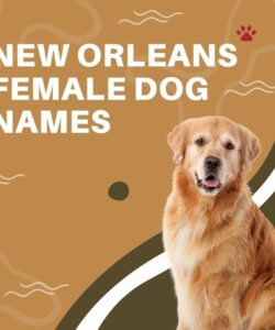 New Orleans Female Dog Names