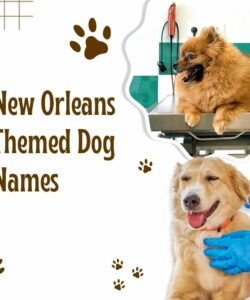 New Orleans Themed Dog Names