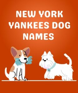 New York Yankees Dog Names New York Yankees Dog Names