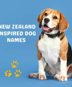 New Zealand Inspired Dog Names New Zealand Inspired Dog Names