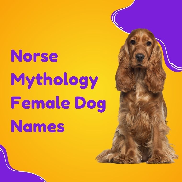 Norse Mythology Female Dog Names Norse Mythology Female Dog Names