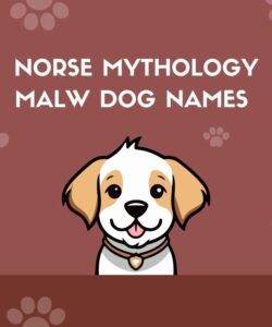 Norse Mythology Malw Dog Names Norse Mythology Malw Dog Names