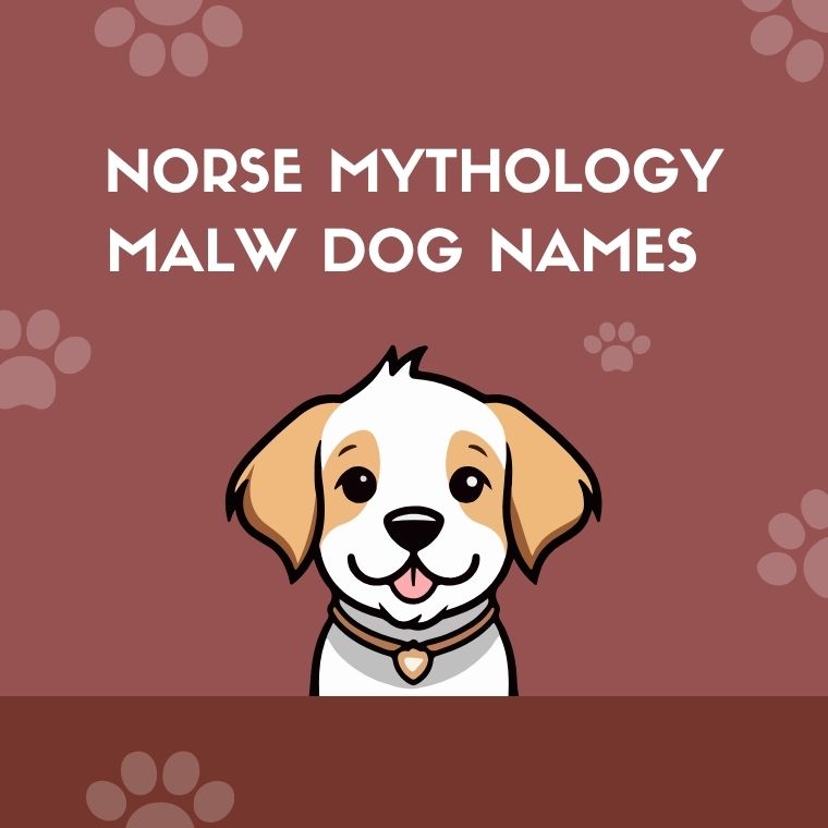 Norse Mythology Malw Dog Names