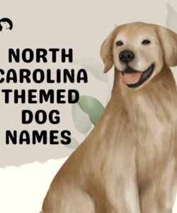 North Carolina Themed Dog Names North Carolina Themed Dog Names