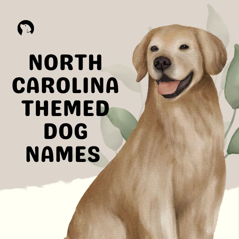 North Carolina Themed Dog Names