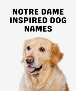 Notre Dame Inspired Dog Names Notre Dame Inspired Dog Names